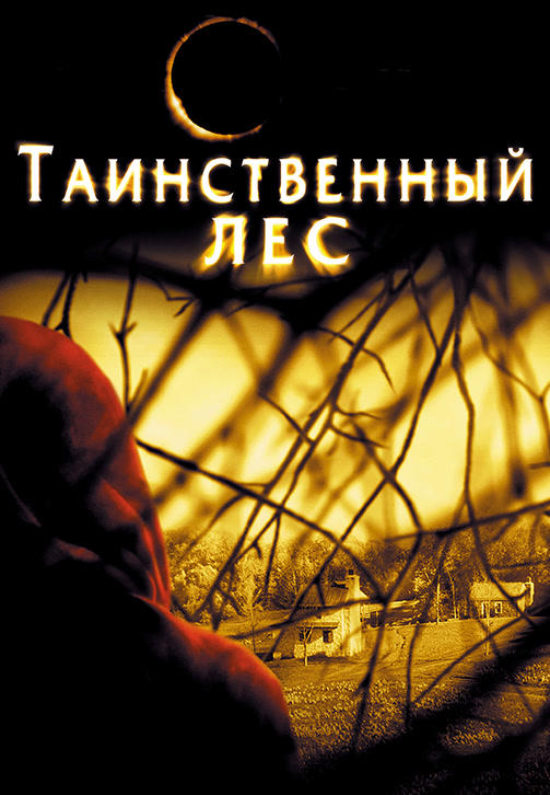 Постер к фильму Таинственный лес 2004